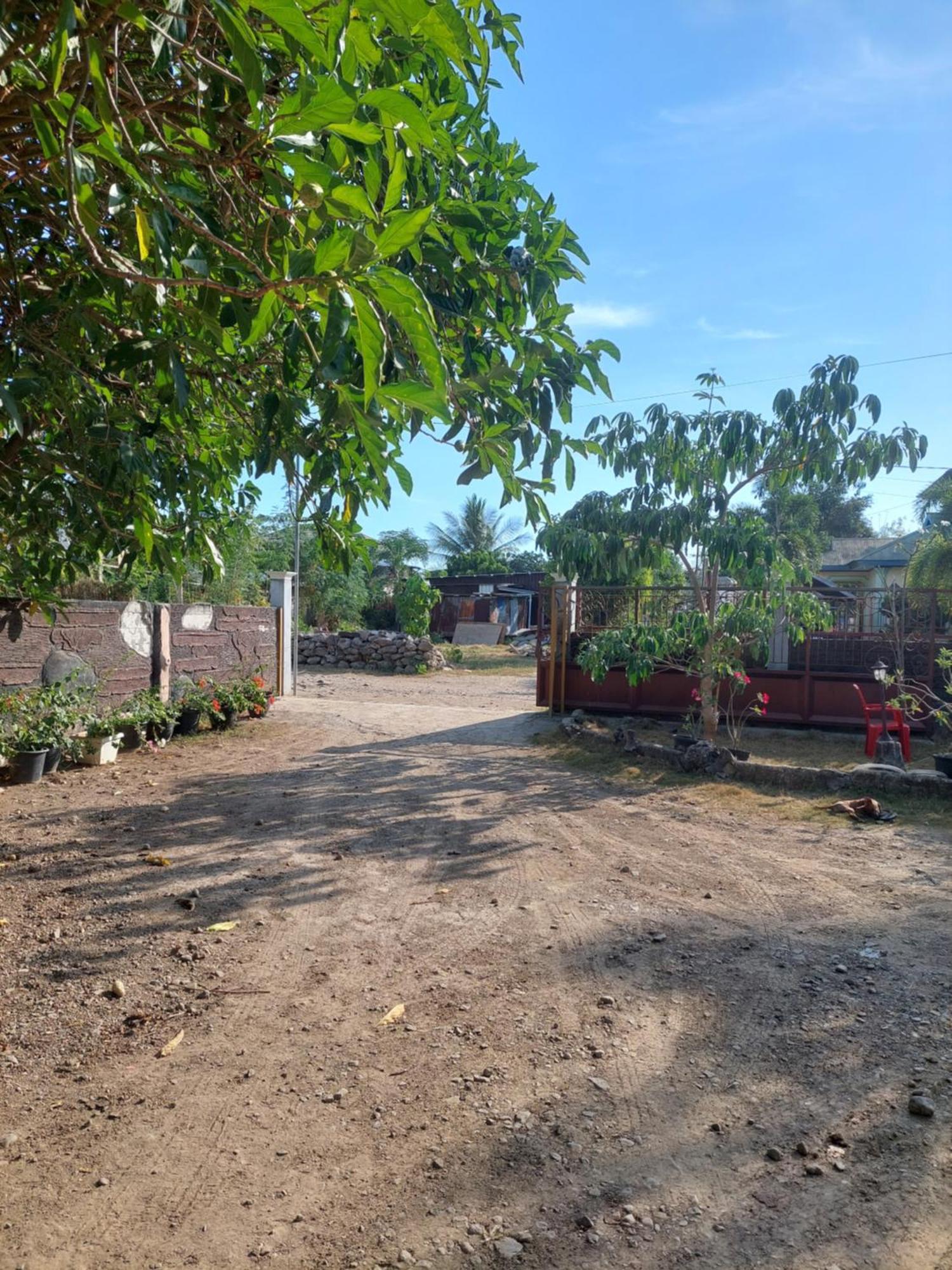 D'Ru Guest House ลาบวนบาโจ ภายนอก รูปภาพ