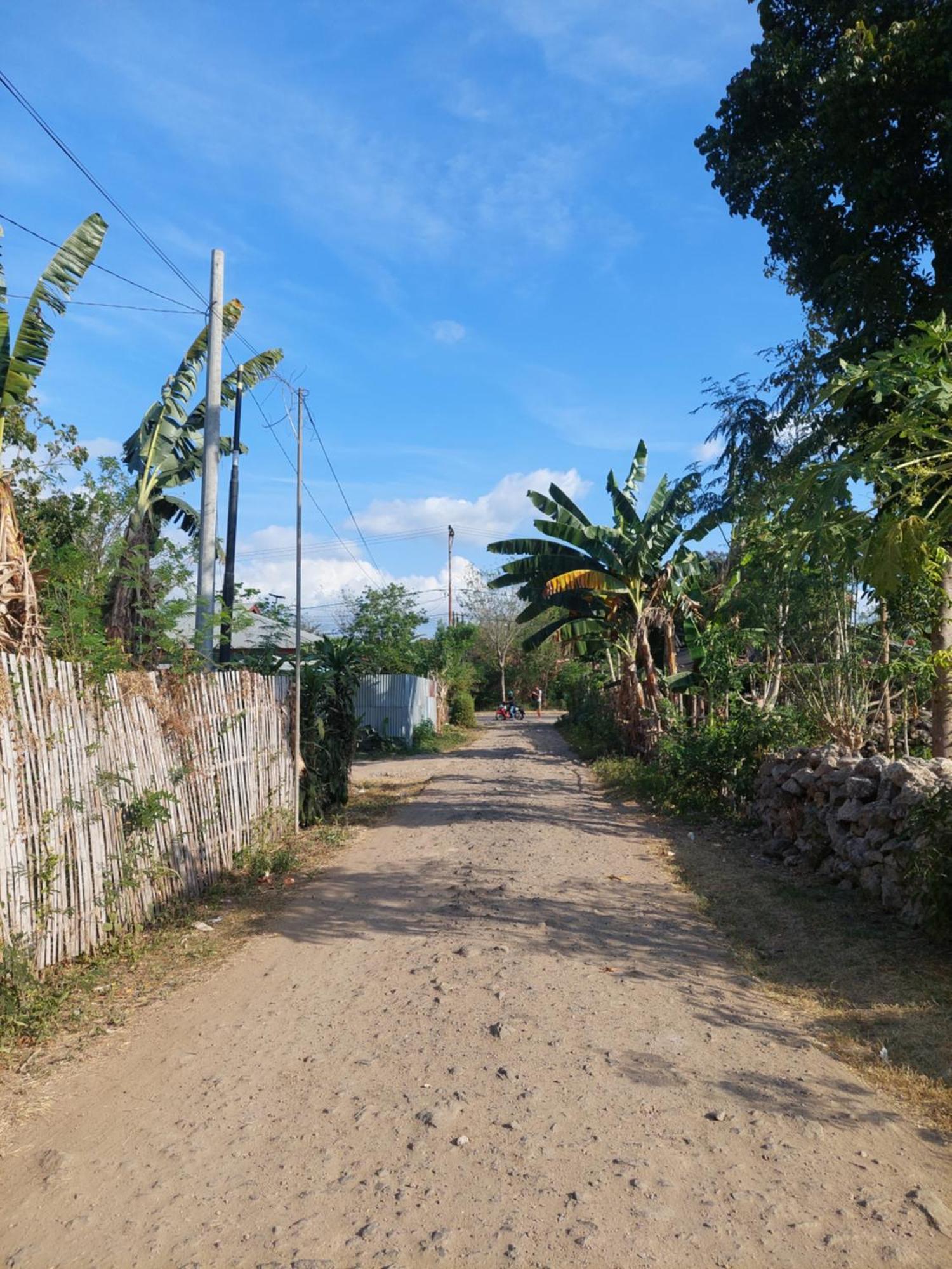 D'Ru Guest House ลาบวนบาโจ ภายนอก รูปภาพ